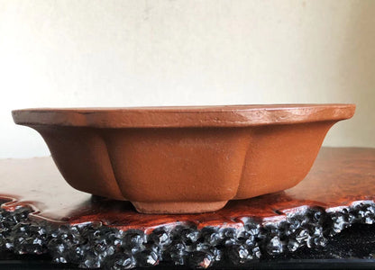 Hand-Made Japanese Bonsai Pot by Watanabe Tamao San