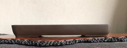 A dark brown, glossy, rectangular ceramic pot with rounded edges sits on a wooden display stand.
