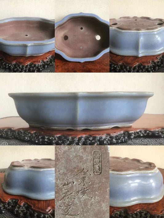 A light blue glazed hexagonal bonsai pot with a scalloped rim and three drainage holes.