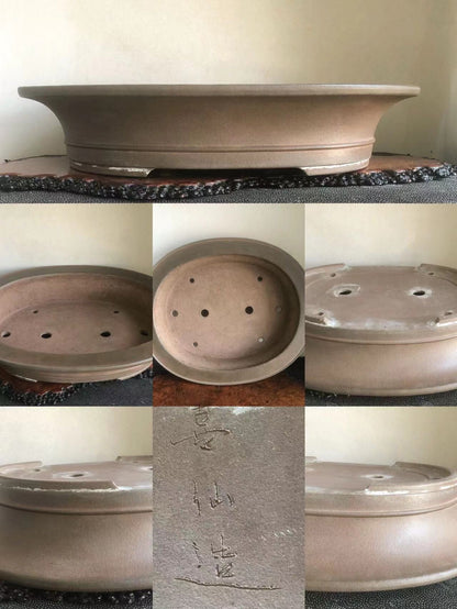 A matte brown ceramic bonsai pot with a low rim, drainage holes, and an engraved signature.