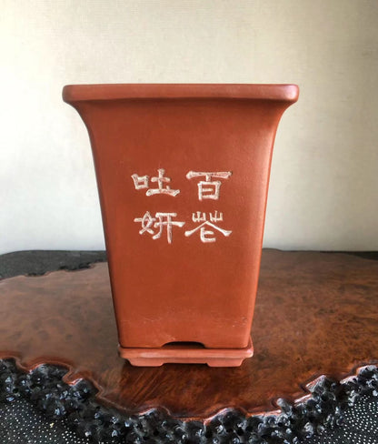 正文革签同 Japanese Returned Bonsai Pot