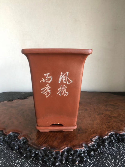正文革签同 Japanese Returned Bonsai Pot