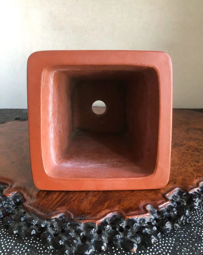 正文革签同 Japanese Returned Bonsai Pot