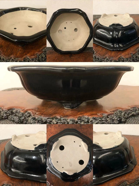 A glossy black octagonal bonsai pot with a flared rim and drainage holes.