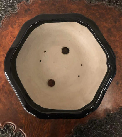 Shinzan Hand-Made Japanese Bonsai Pot