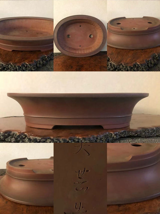 A dark brown, shallow, oval bonsai pot with a matte finish and three drainage holes.