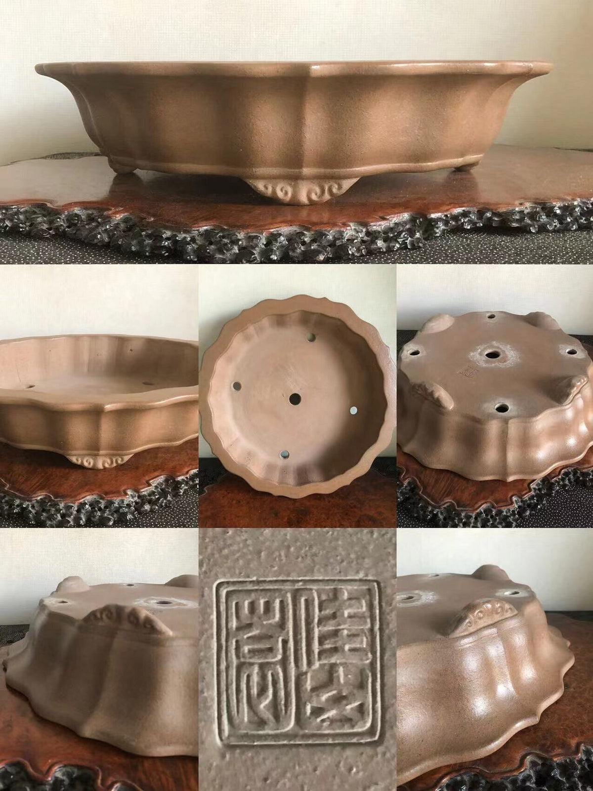 A matte brown ceramic bonsai pot with scalloped edges and a square seal impression.