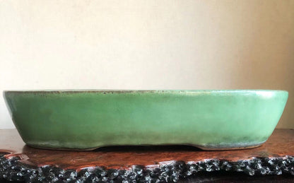 A low, wide, green-glazed ceramic pot with a slightly uneven rim rests on a dark wooden surface.