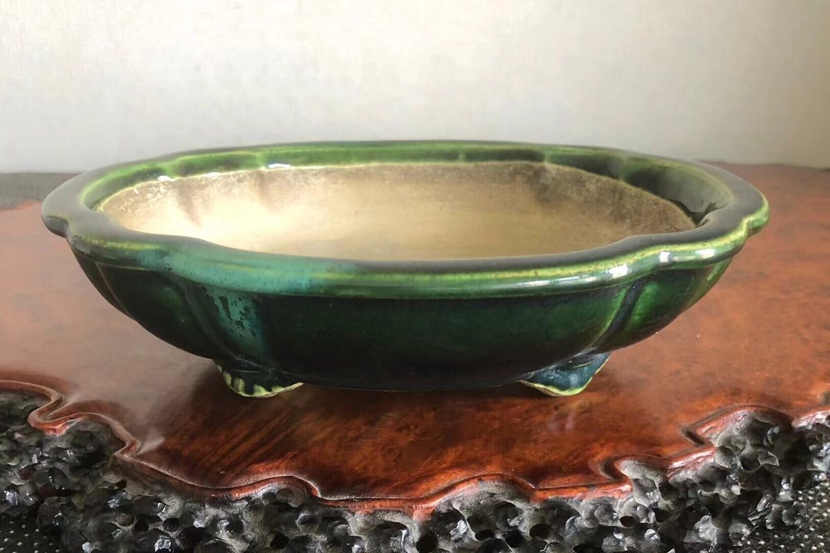 Mashima Rimi Handcrafted Japanese Bonsai Pot