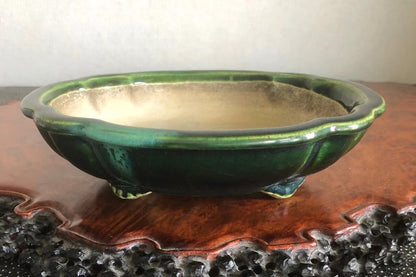 Mashima Rimi Handcrafted Japanese Bonsai Pot