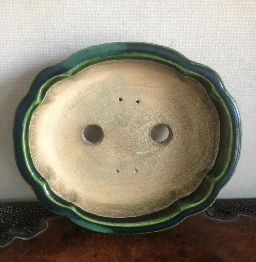 Mashima Rimi Handcrafted Japanese Bonsai Pot