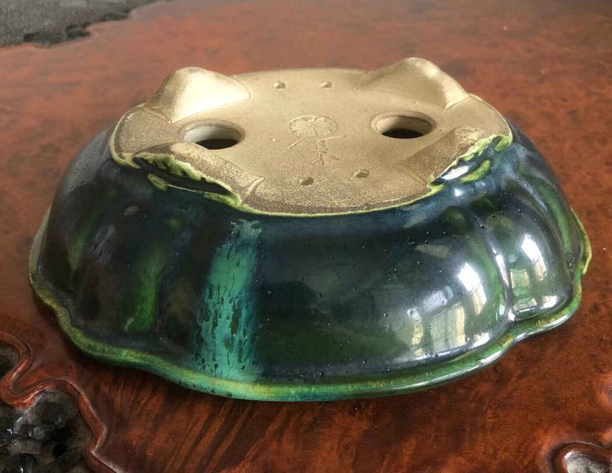 Mashima Rimi Handcrafted Japanese Bonsai Pot