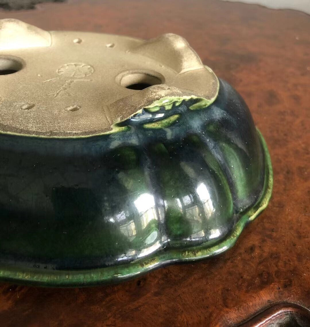 Mashima Rimi Handcrafted Japanese Bonsai Pot