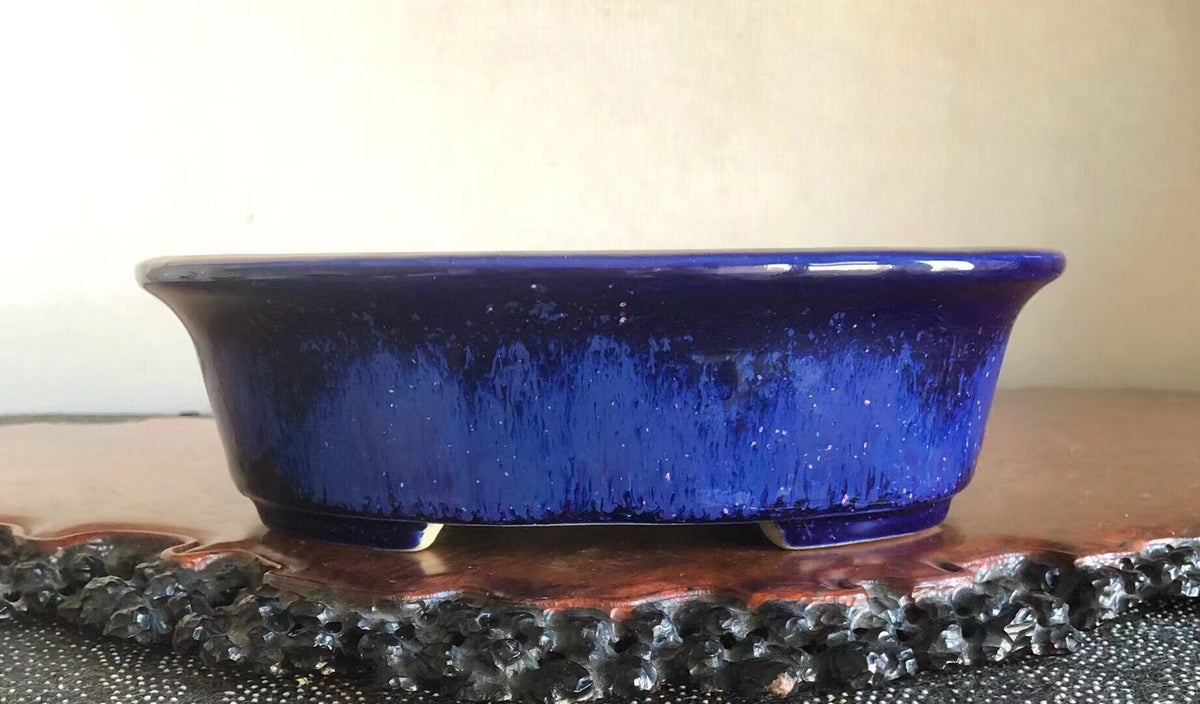 A glossy, deep blue ceramic bonsai pot with a wide rim and speckled glaze.