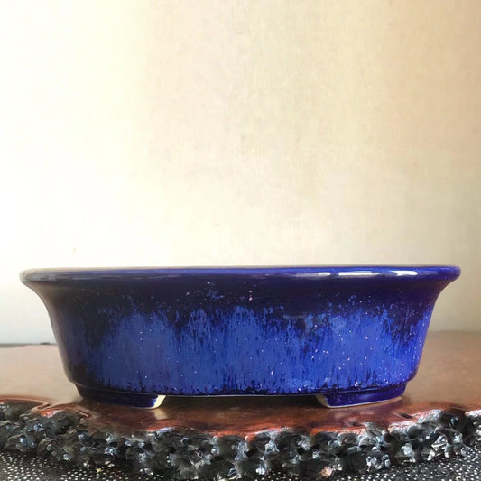 A glossy, deep blue ceramic bonsai pot with a wide rim and speckled glaze.