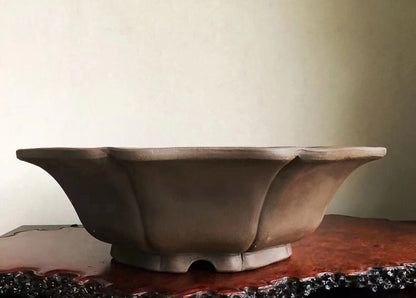 A matte, grey, unglazed ceramic pot with a wide, flared rim and scalloped edges.