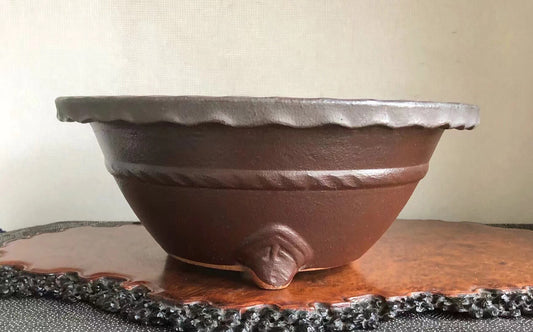 Dark brown ceramic pot with scalloped rim and footed base, matte finish.