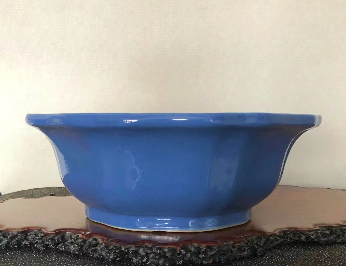 A glossy cobalt blue ceramic pot with flared rim and curved sides sits on a dark wooden base.