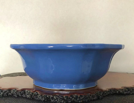 A glossy cobalt blue ceramic pot with flared rim and curved sides sits on a dark wooden base.