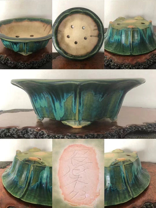 A glazed ceramic bonsai pot with a flared, scalloped rim and mottled green-blue glaze.
