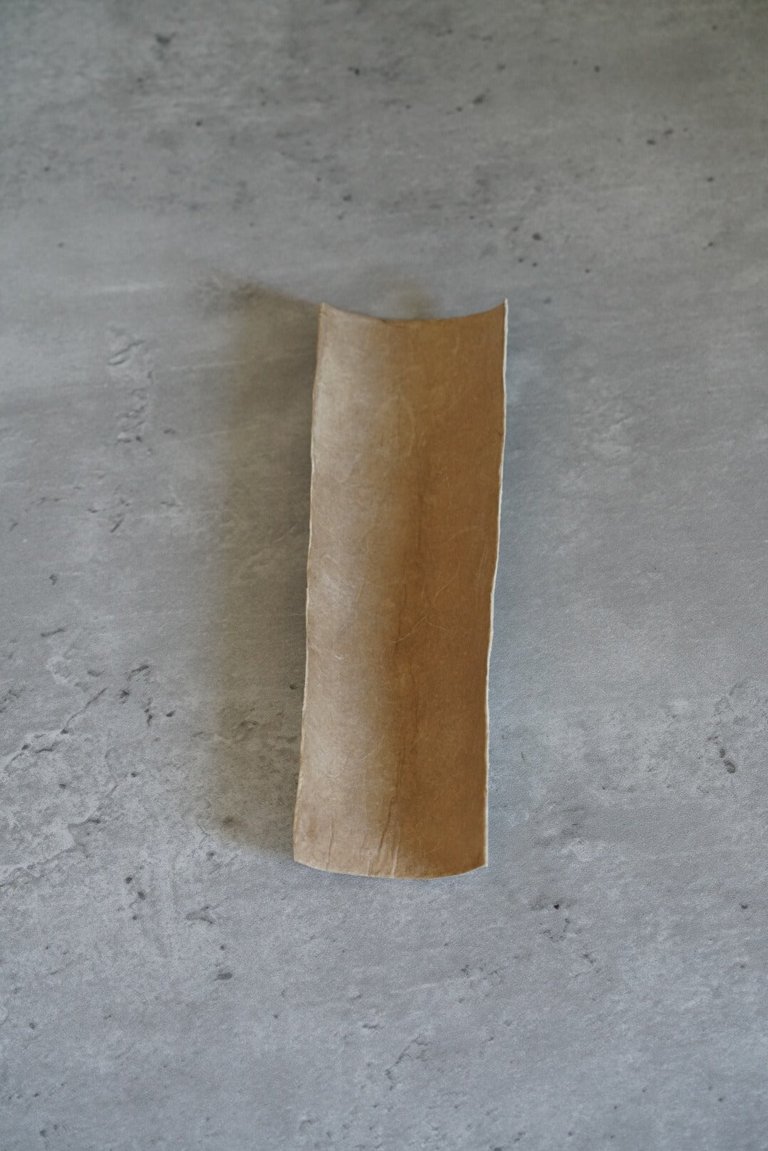 Curved strip of handmade washi paper in pale cream shading to warm brown, standing upright.