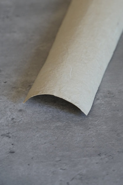 Tete washi tea scoop — 15.5 cm long, 5 cm wide, 1.8 cm high